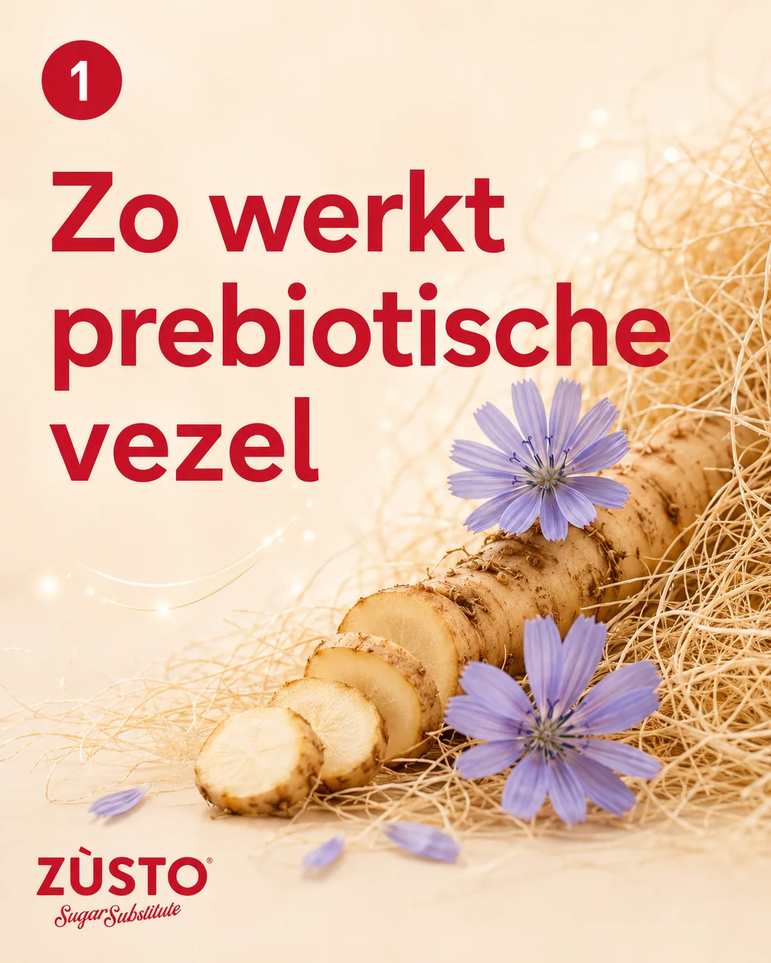 Sweetness That Loves You Back: How Zùsto’s Prebiotic Fibers Change the Game
