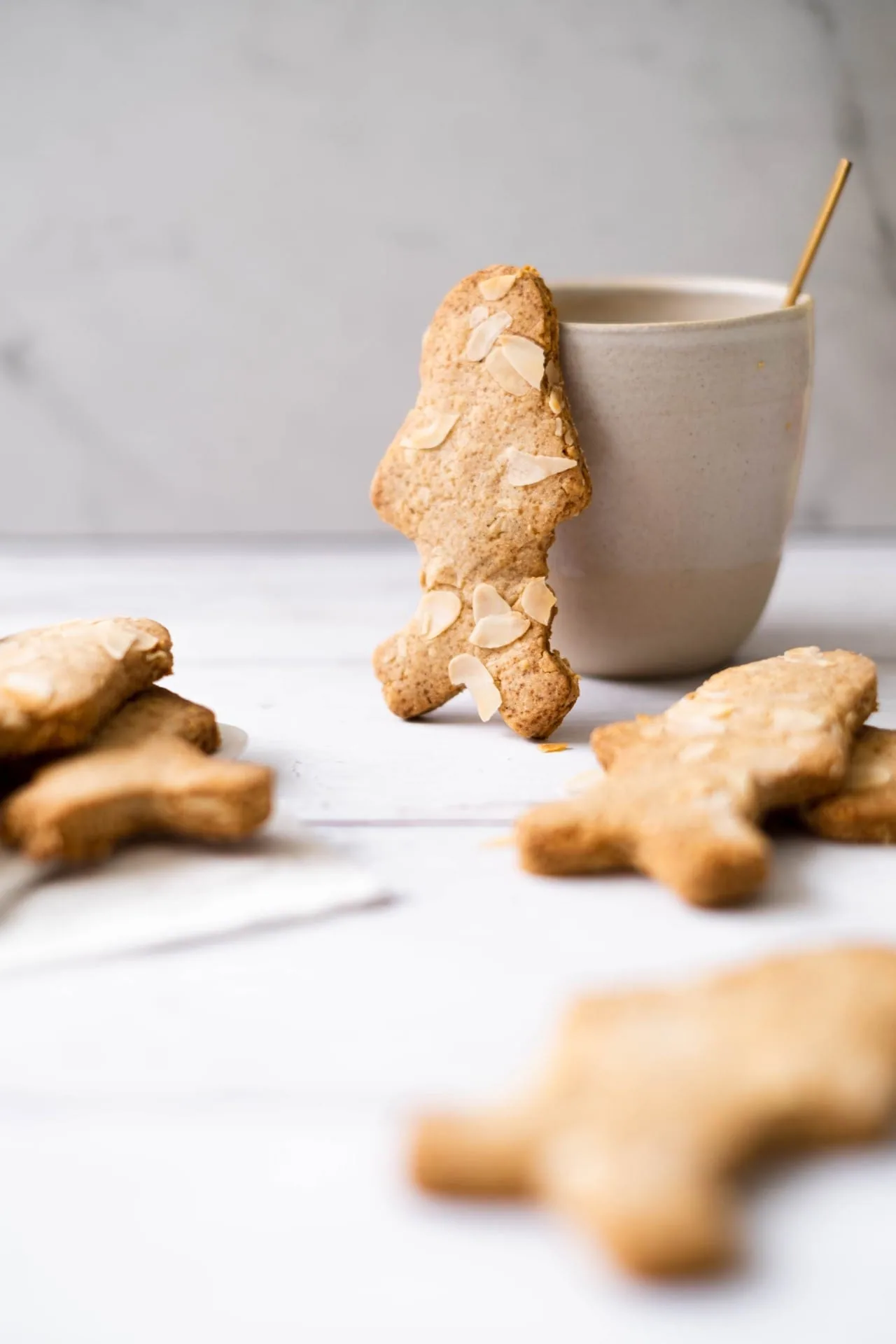 Spéculoos sans sucre